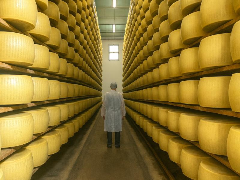 photo from Factory tours & Family-Style Lunch in Bologna