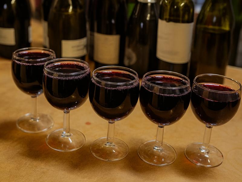 Drinks & Bites in Bologna Private Tour